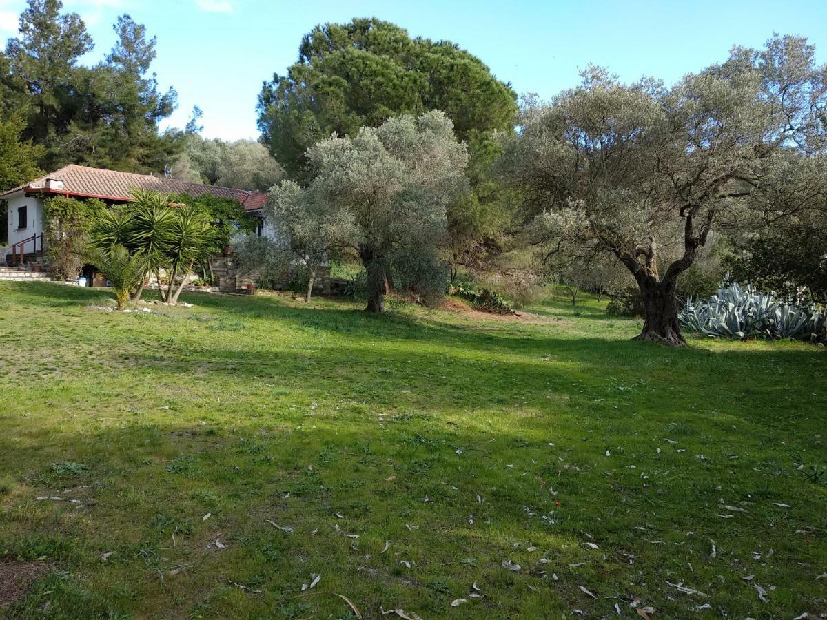 Casa Natura Ammouliani Exterior photo